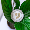 10 Must-Follow Crypto Blogs for Keeping Up with the Latest Trends and News