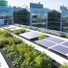 Google's Key Role in Building Smart Cities of the Future