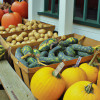 Guide to Seasonal Eating: Cooking with the Harvest