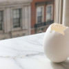 Marvelous Eggs: Exploring Their Versatility in Culinary Arts