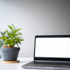 The Impact of Backlinks on SEO: A Comprehensive Guide for Better Rankings