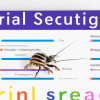 The Importance of Crawlability in SEO: Optimizing Your Site for Search Engines