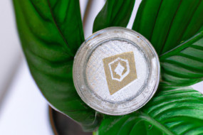 10 Must-Follow Crypto Blogs for Keeping Up with the Latest Trends and News