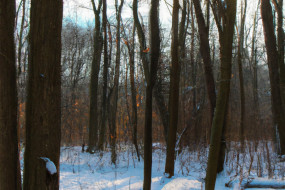 10 Unique Winter Vacation Ideas