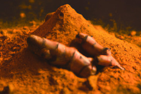Amazing Health Benefits of Turmeric: An In-Depth Exploration