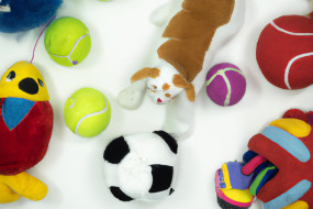 Comprehensive Guide to Choosing the Perfect Toys for Your Pets