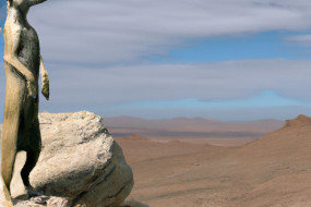 Discovering The Social Lives of Meerkats: The Ultimate Guide