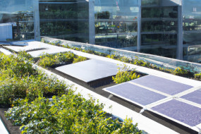 Google's Key Role in Building Smart Cities of the Future
