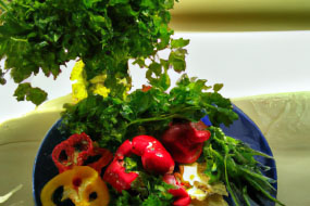 Instagram for Foodies: Tips and Tricks for Mouthwatering Visuals