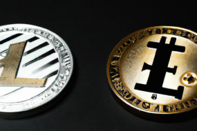 Litecoin vs Bitcoin: Top Differences You Need to Know