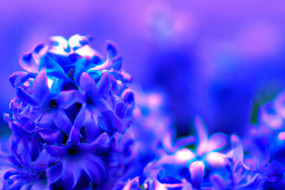 Optimizing Your Images for Search Engines: A Beginner's Guide