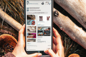 The Art of Creating Instagram Stories That Converts