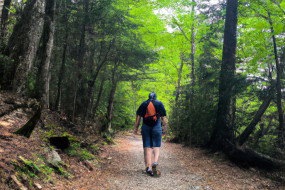 The Benefits of Hiking for Total-Body Fitness
