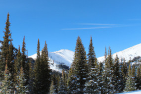 The Best Places to Take a Winter Road Trip