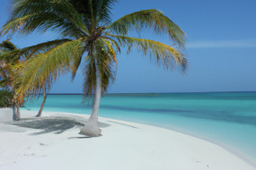 The Best Time to Book Your Holiday Travel Plans: Tips and Tricks