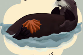The Eating Habits of Sea Otters: What Do They Eat?