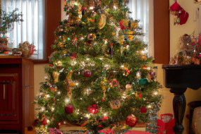The History of the Christmas Tree and Its Significance: A Timeless Tradition