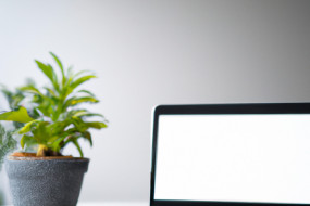 The Impact of Backlinks on SEO: A Comprehensive Guide for Better Rankings