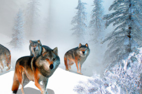 The Importance of Wolves in Our Ecosystem