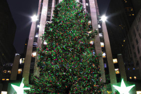 The Most Magical Christmas Trees in the World