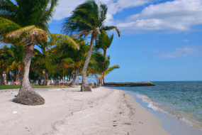 The Top Benefits of Taking a Holiday Vacation for Your Health and Well-being