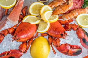 Where to Find the Best Seafood in Your City